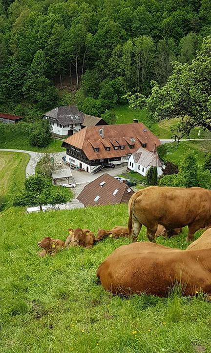 Gasthaus Kappelehof